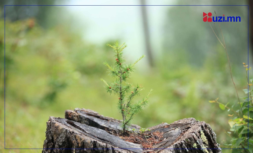 ӨНӨӨДӨР: Ойн тухай хуулийн төслийн олон нийтийн цуврал хэлэлцүүлэг Төрийн ордны Их Эзэн Чингис хаан танхимд болно.