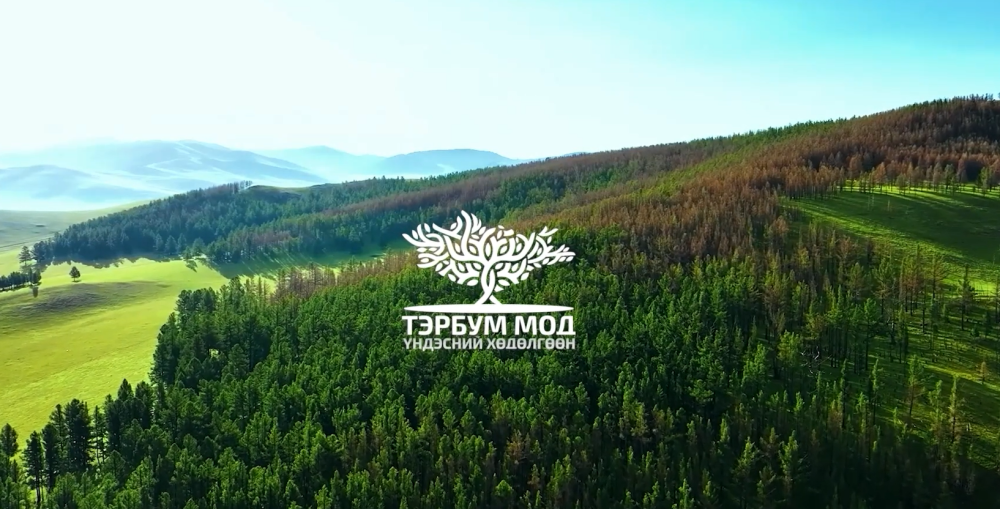 ӨНӨӨДӨР: “Тэрбум мод” үндэсний хөдөлгөөний явц, гарц, шийдэл хэлэлцүүлэг болно