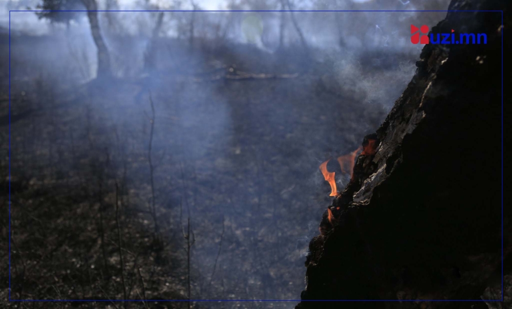 Гурван аймагт ой хээрийн түймэр гарчээ