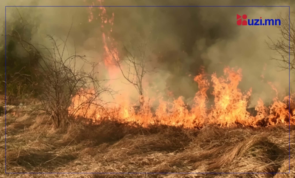 Ой хээрийн түймрийн аюулаас сэрэмжлүүлж байна!
